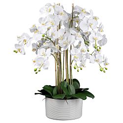 Umělá Rostlina Orchidej, V: 78cm