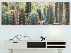 Kaktusy, 150x50 cm - pouze na osobní odběr