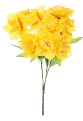 Narcisy 30 cm, žlutá