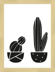 Nordic kaktusy, 18x24 cm