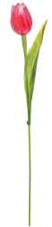 Tulipán 43 cm, červená