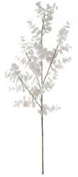 Vánoční větev eukalyptus 70 cm, bílá