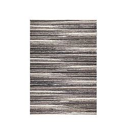 Ručně vyráběný koberec Dutchbone Char, 170 x 240 cm